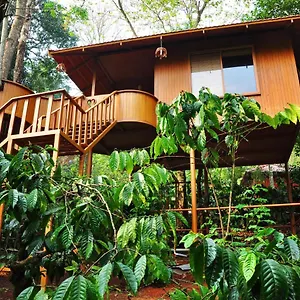 Resort Planet Plantation Resorts, Wayanad, Kerala